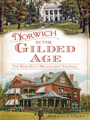 cover image of Norwich in the Gilded Age